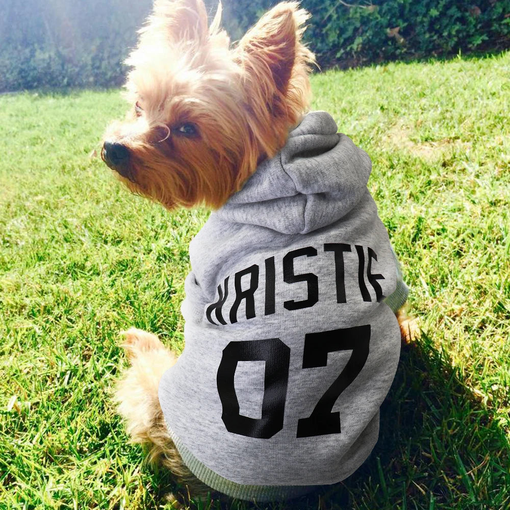 Custom_Dog_Hoodies_dog_in_grey