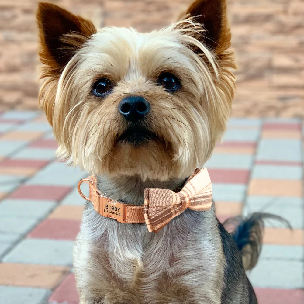 Customized_Plaid_Dog_Collar_with_Bowtie_dog_with_brown