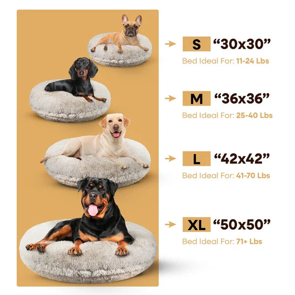 DogStoreOnline LLC