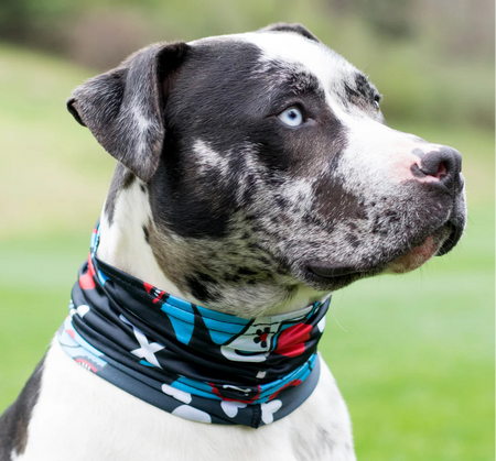 Day of the Dog Scruff for Dogs - Pup Scruffs on dog blue