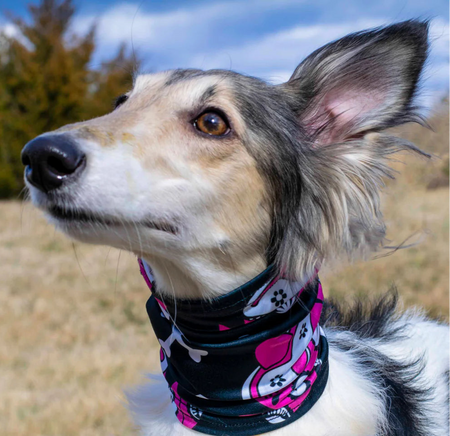 Day of the Dog Scruff for Dogs - Pup Scruffs on dog pink