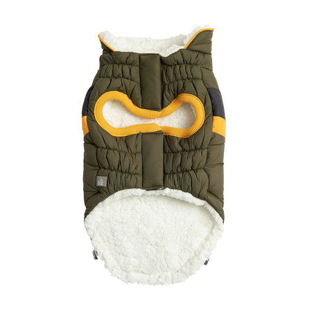 Dog coat with green, yellow, and white colors on a white background