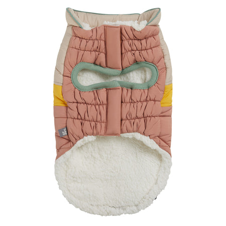 Dog coat with owl design on a white background