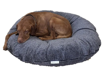 Dog lying on a textured blue pet bed with a visible brand label. grey owl