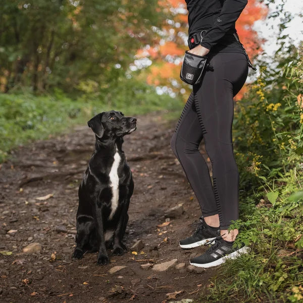 Person in black leggings and sneakers standing next to a black dog on a trail with autumn foliage.