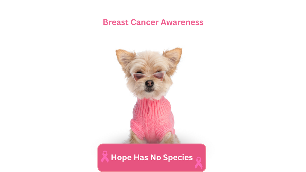 Dog wearing a pink sweater with 'Breast Cancer Awareness' text and pink ribbon on a white background.