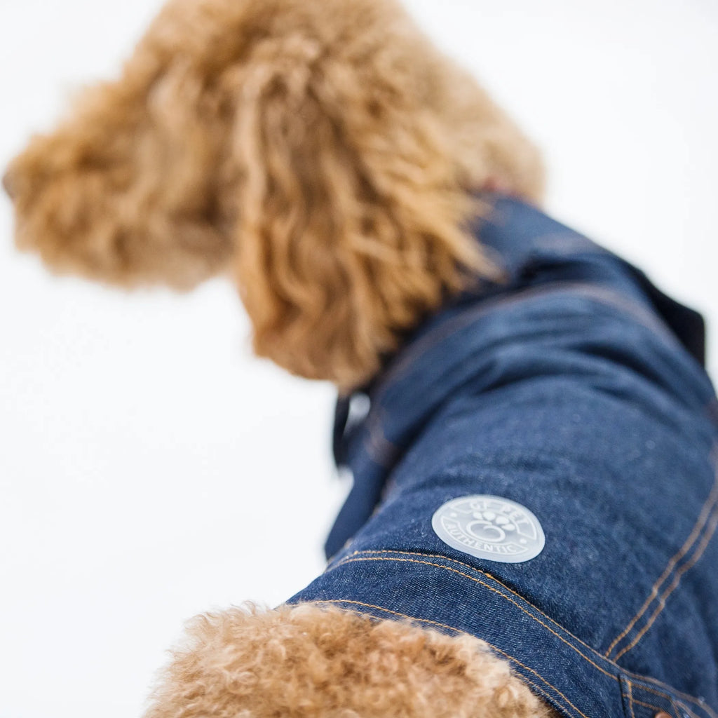 Elasto-Fit Denim Jacket for Dogs - GF Pet closeup