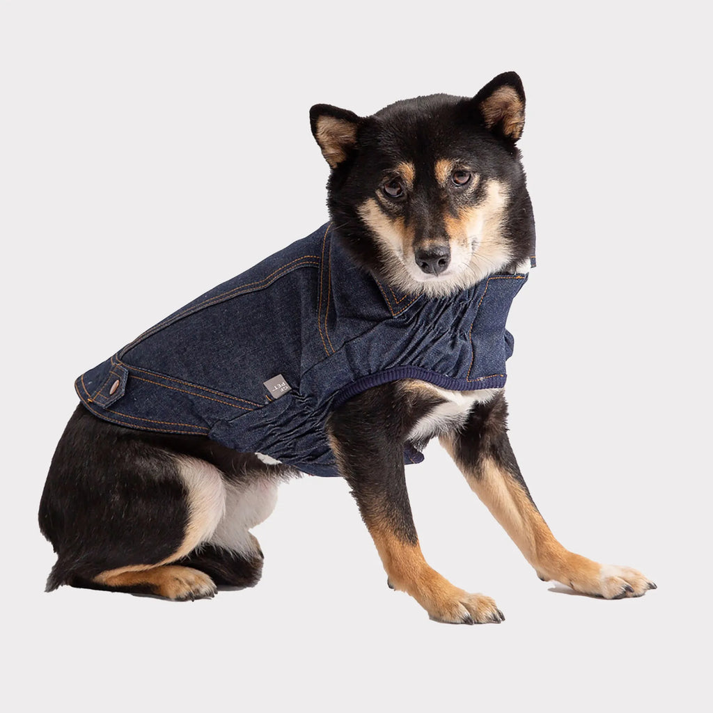 Elasto-Fit Denim Jacket for Dogs - GF Pet dog 1