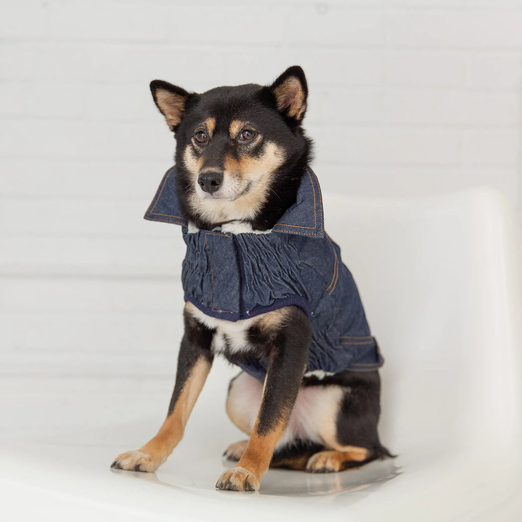Elasto-Fit Denim Jacket for Dogs - GF Pet dog 2