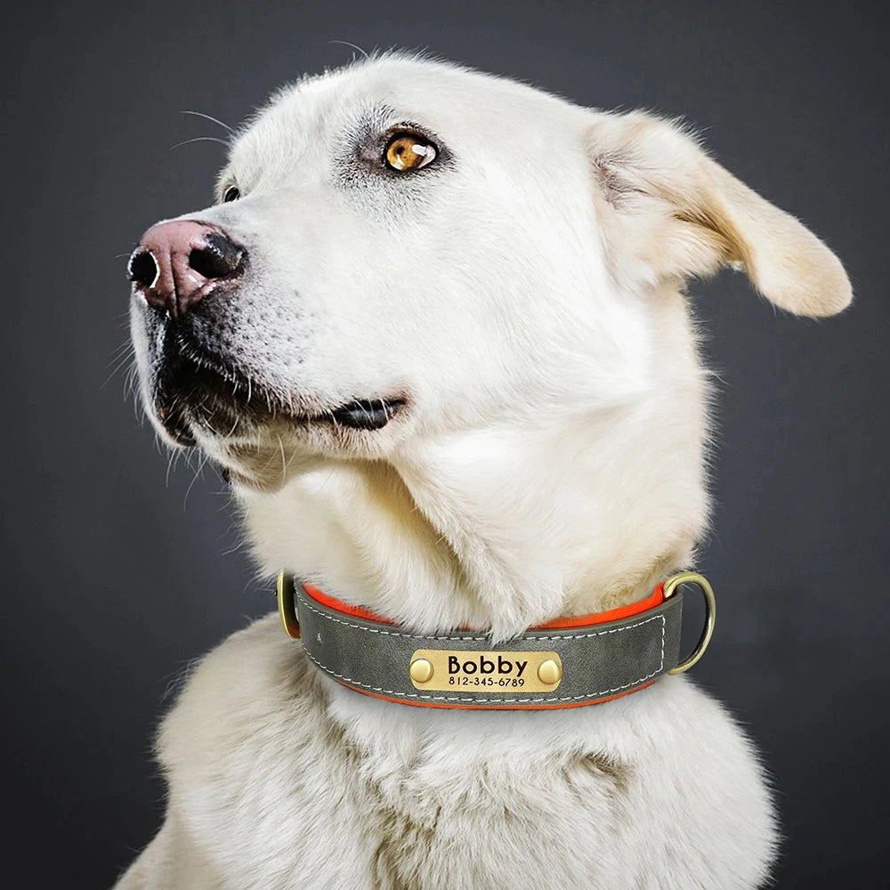 Custom Leather Dog Collar - Soft Padded with Personalized ID Tag for Small & Medium Dogs - Dog Store Online