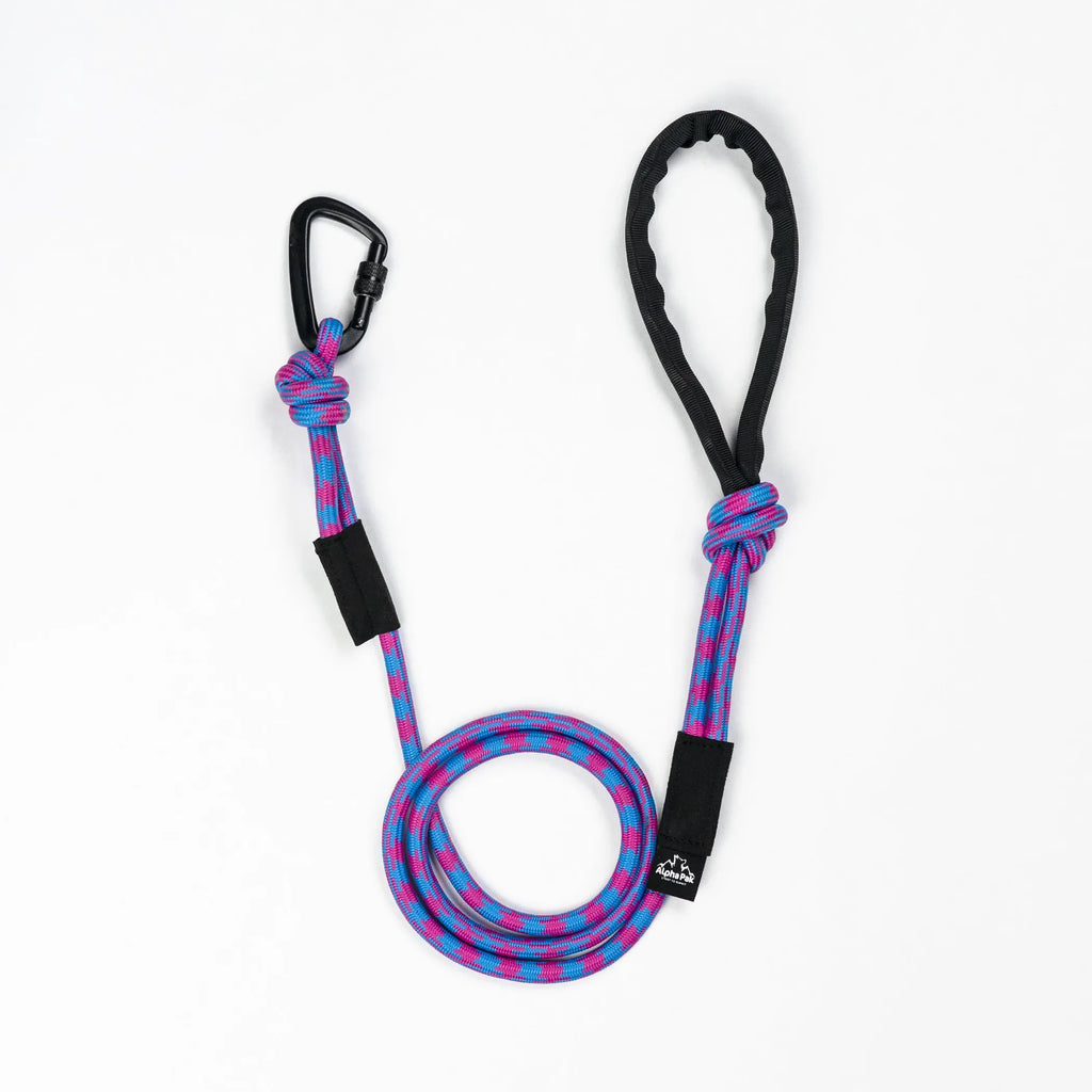 Elements (Purple) 10MM Kernmantle Rope Dog Leash - AlphaPak