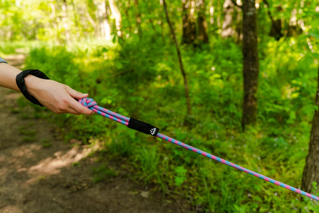 Elements (Purple) 10MM Kernmantle Rope Dog Leash - AlphaPak 2nd view