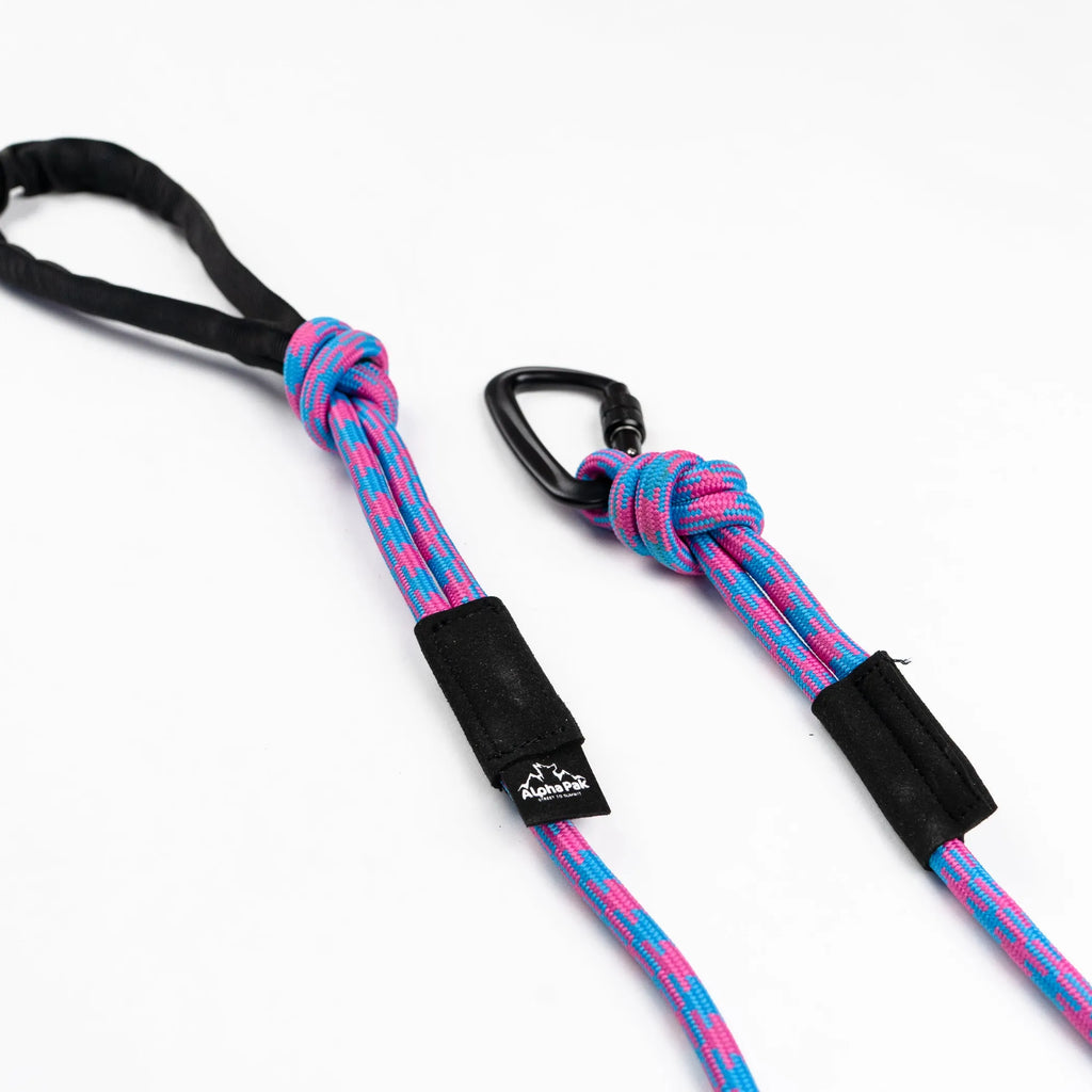 Elements (Purple) 10MM Kernmantle Rope Dog Leash - AlphaPak closeup