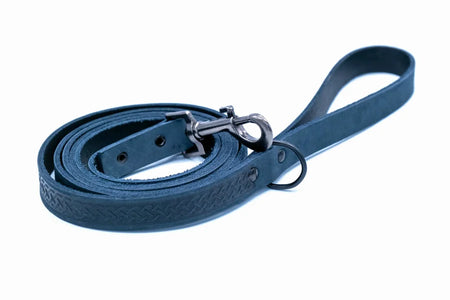 Blue dog leash with a metal clip on a white background