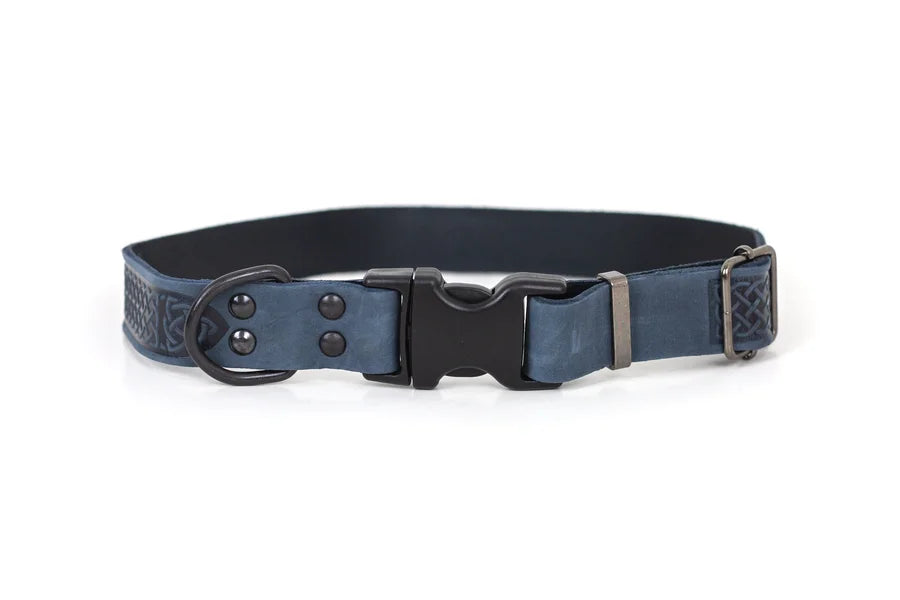 Blue dog collar with a black buckle on a white background