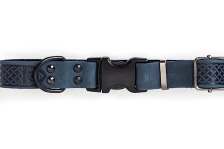 Navy blue dog collar with a black buckle on a white background