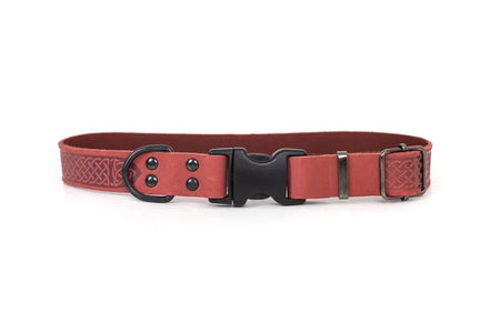 Red dog collar with black buckle on a white background