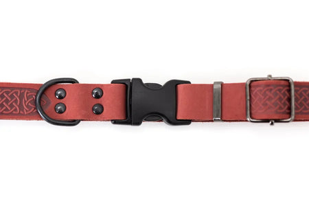 Red dog collar with black buckle on a white background