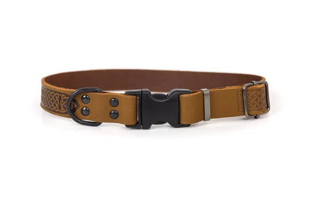 Brown leather dog collar with black buckle on a white background