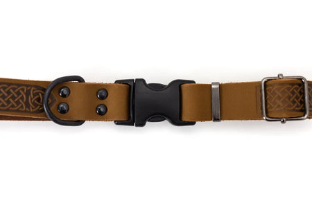 Brown dog collar with black buckle on a white background