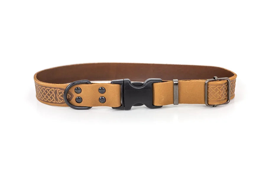 Brown leather dog collar with black buckle on a white background