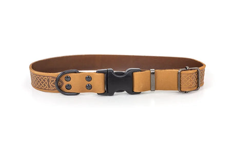 Brown leather dog collar with black buckle on a white background