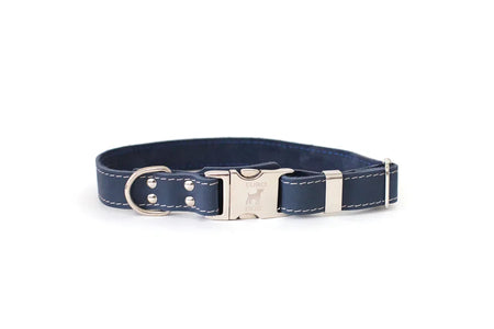 Navy blue dog collar with a silver buckle on a white background