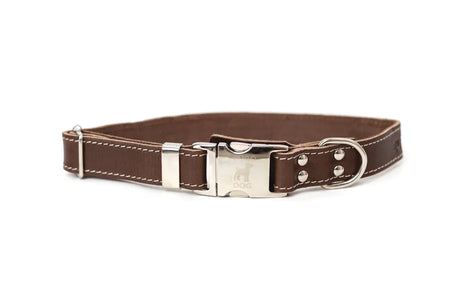 Brown dog collar with a silver buckle on a white background