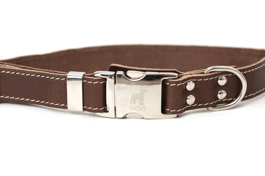 Brown dog collar with a silver buckle on a white background