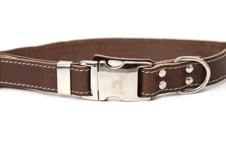 Brown dog collar with a silver buckle on a white background