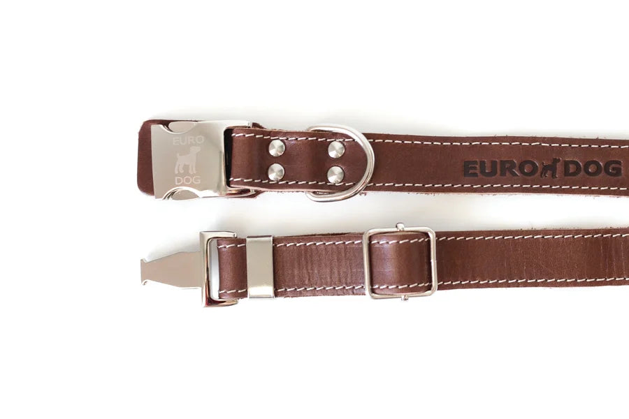 Brown dog collar with silver buckle on a white background, branded 'Euro Dog'.