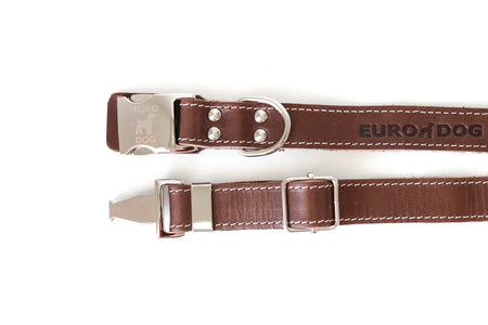 Brown dog collar with silver buckle on a white background, branded 'Euro Dog'.