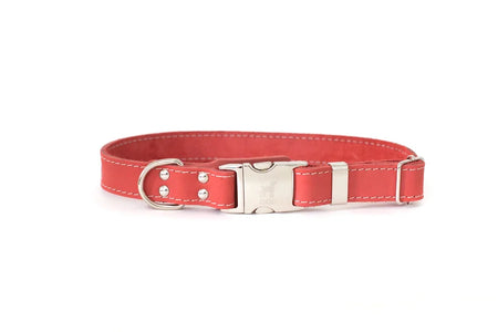 Red dog collar with a silver buckle on a white background