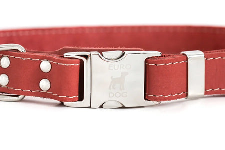 Red dog collar with a silver buckle on a white background