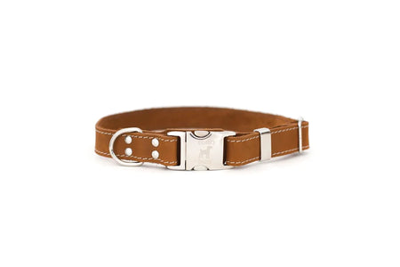 Brown dog collar with silver buckle on a white background