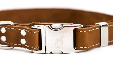Brown leather dog collar with silver buckle on a white background