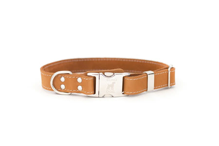 Brown leather dog collar with a silver buckle on a white background