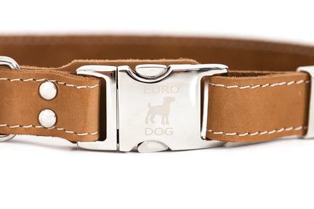 Brown leather dog collar with a silver buckle on a white background