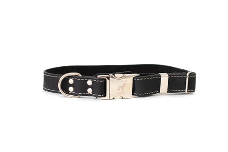 Black leather dog collar with silver buckle on a white background