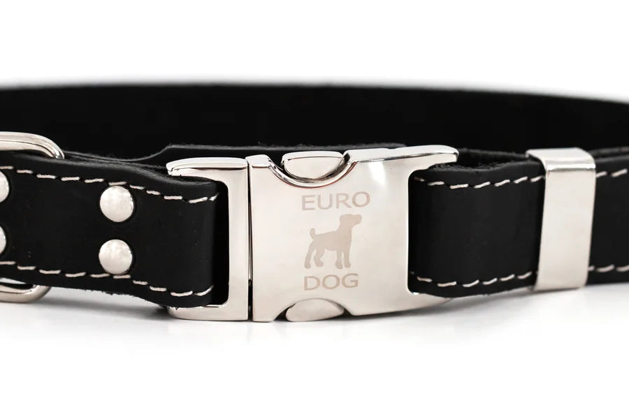 Black leather dog collar with silver buckle on a white background