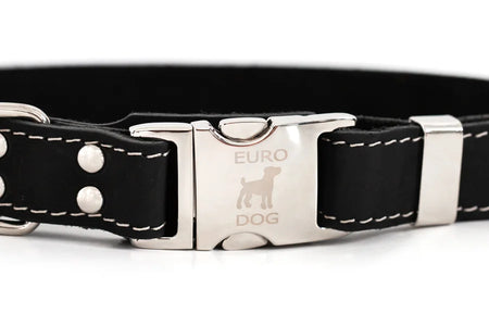 Black leather dog collar with silver buckle on a white background