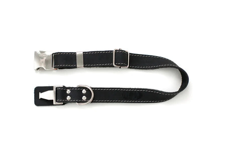 Black dog collar with silver hardware on a white background