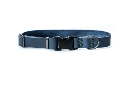 Blue dog collar with a metal buckle on a white background