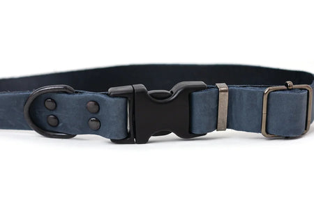 Navy blue dog collar with black buckle on a white background