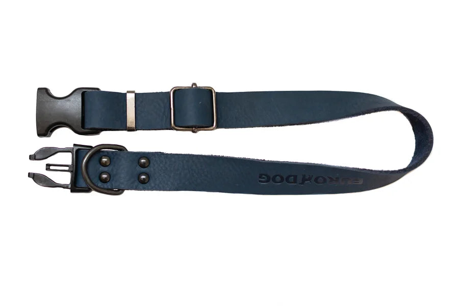 Two navy blue dog collars with metal buckles on a white background