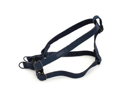 Navy blue dog harness on a white background