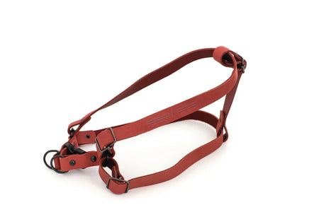 Red leather dog harness on a white background