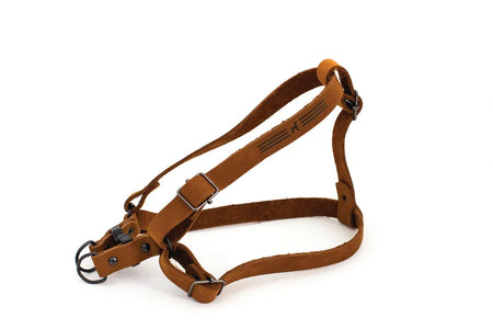 Brown leather dog harness on a white background