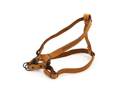 Brown leather dog harness on a white background