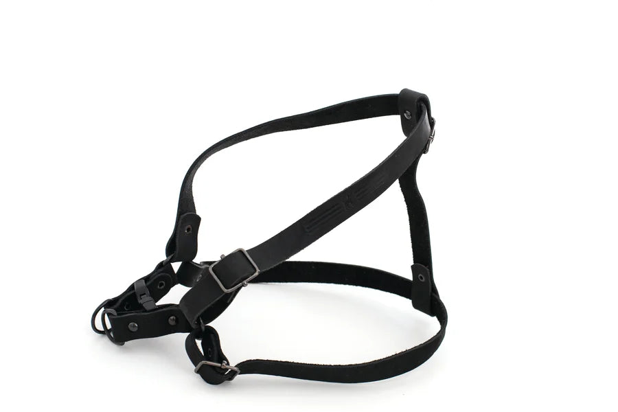Black dog harness on a white background